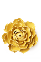 Buttercup Yellow Peony ceramic wall flower — English Garden collection — designed in Toronto by Chive Studio