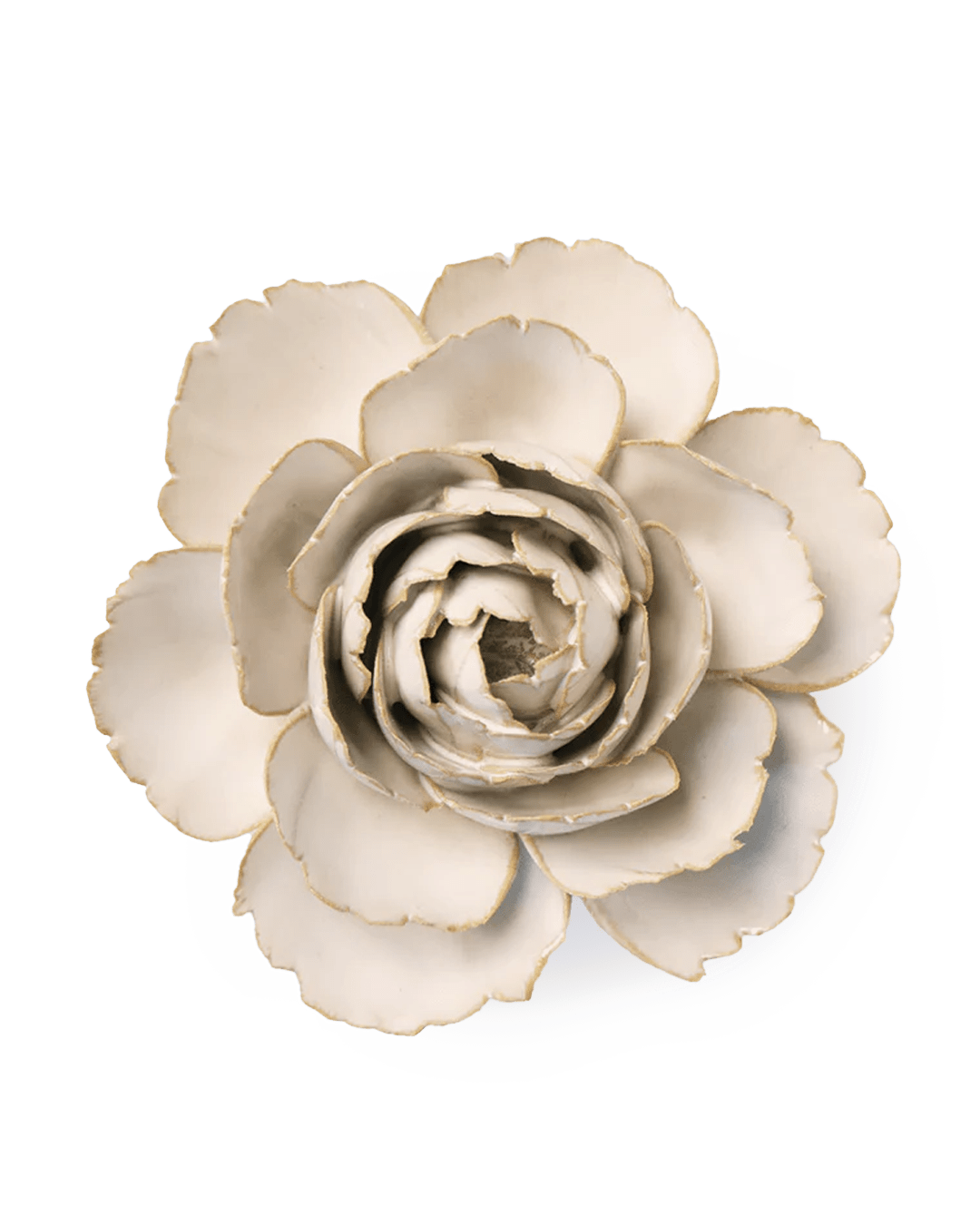 EG31 Ivory English Rose - Chive Ceramics Studio - Ceramic Flowers - Chive Ceramics Studio
