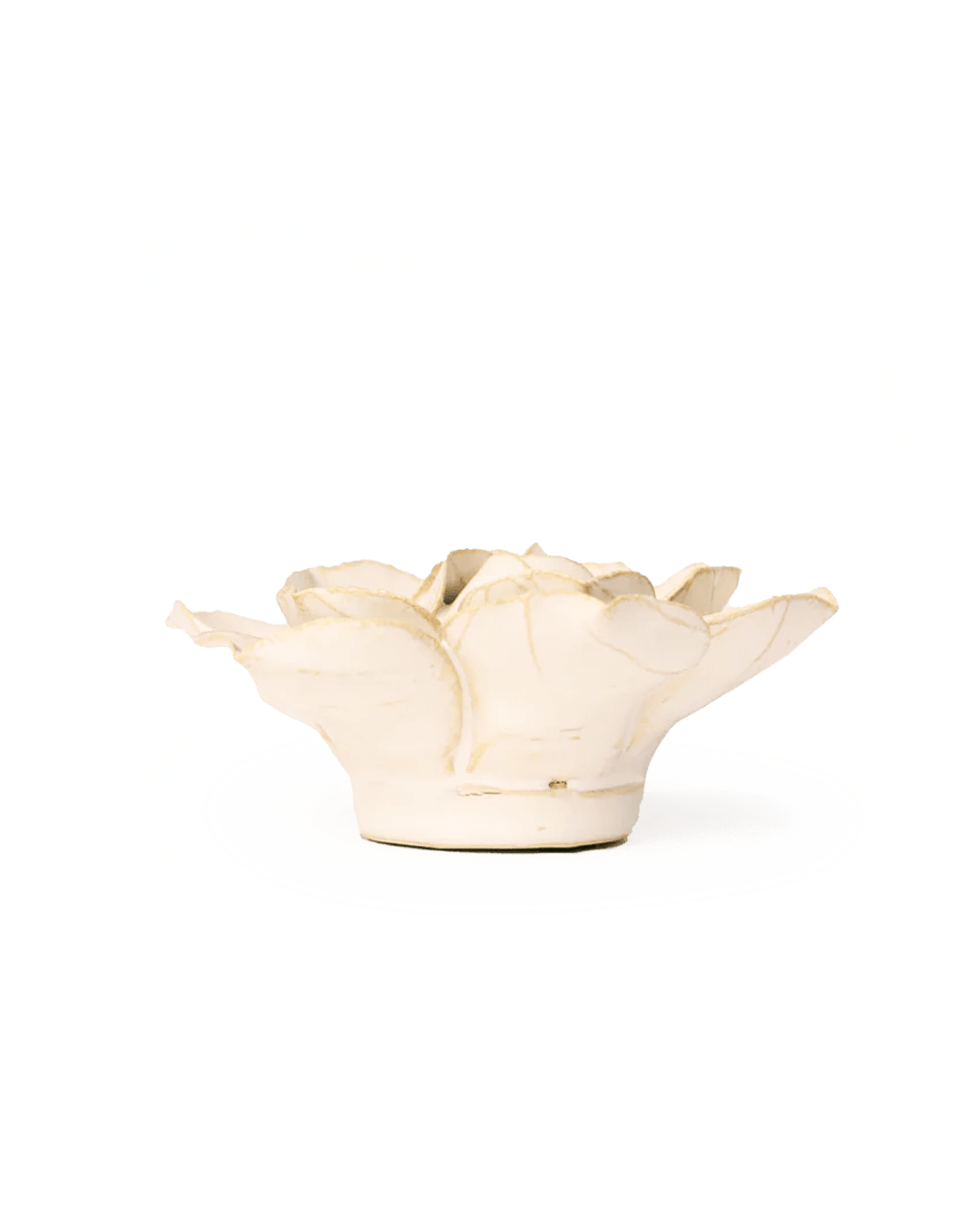 Ivory Daffodil ceramic wall flower — English Garden collection — designed in Toronto by Chive Studio