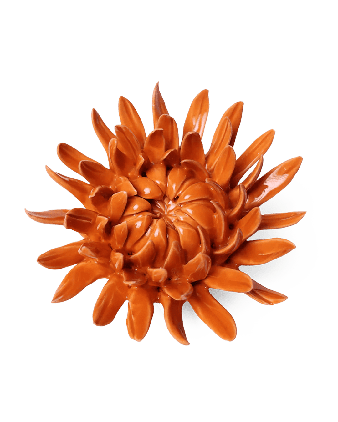 Orange Sarah Mum ceramic wall flower  — English Garden collection — designed in Toronto by Chive Studio