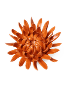 Orange Sarah Mum ceramic wall flower  — English Garden collection — designed in Toronto by Chive Studio