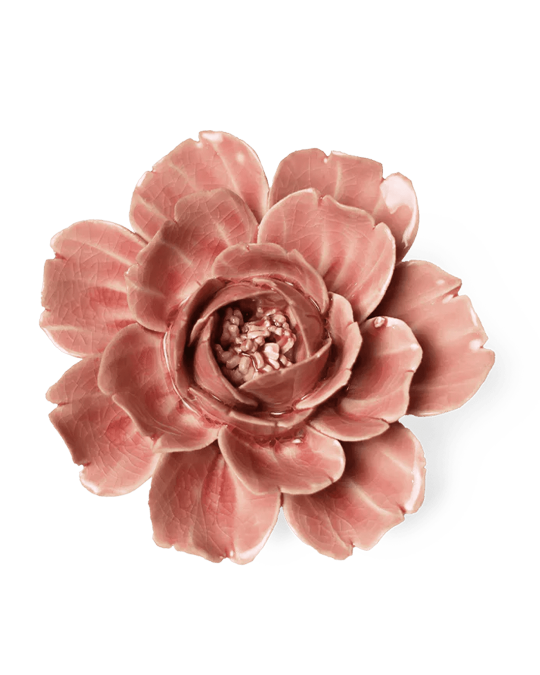 Champagne Pink Rose ceramic wall flower    —  English Garden collection   —  Design by Chive Studio Toronto