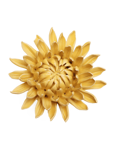 EG38-1_grande.png?v=1776365525