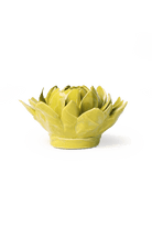 Chartreuse Protea ceramic wall flower — English Garden collection — designed in Toronto by Chive Studio