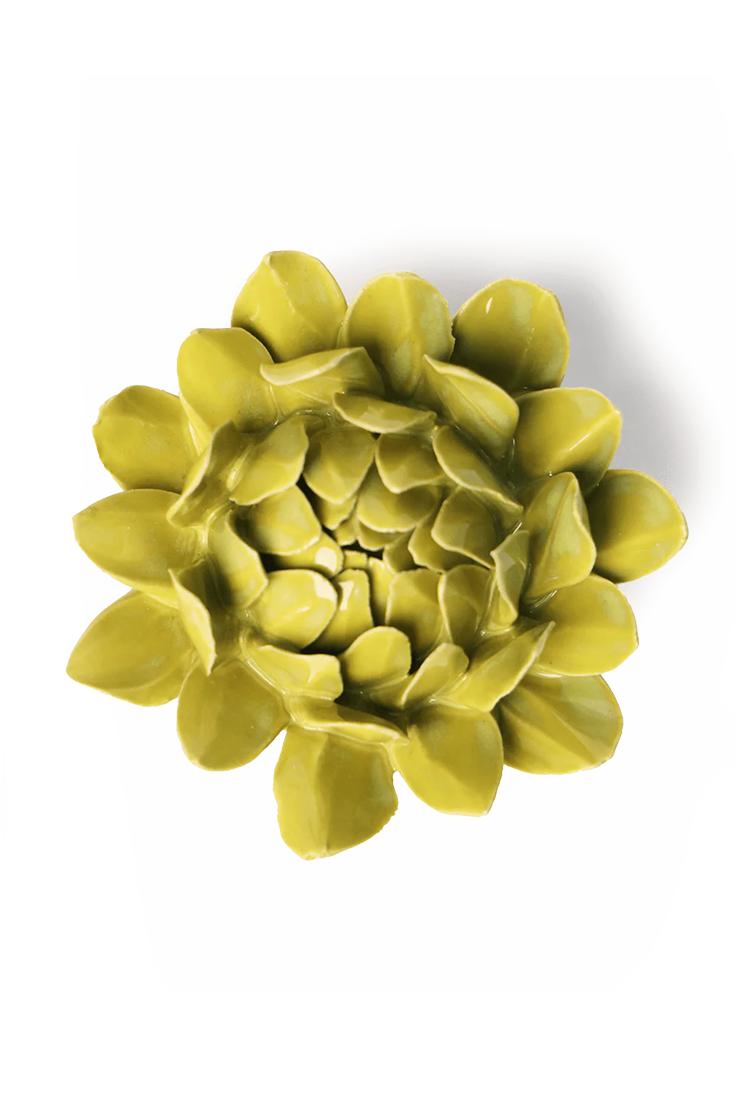 Chartreuse Protea ceramic wall flower — English Garden collection — designed in Toronto by Chive Studio