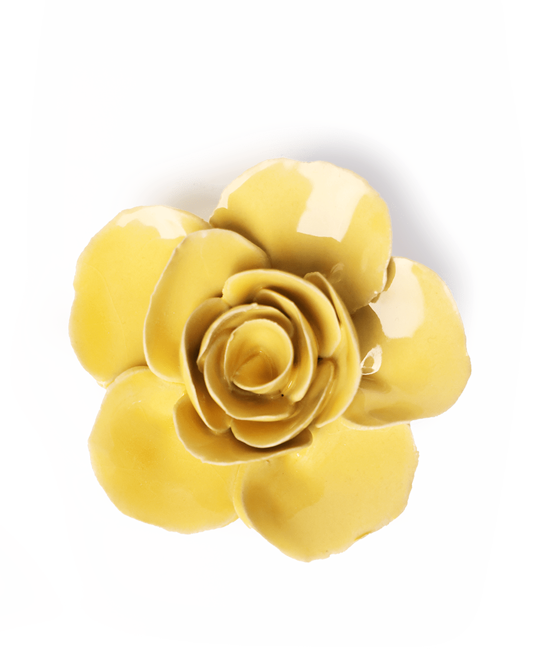 Buttercup Yellow Elegance Ranunculus ceramic wall flower  — English Garden collection — designed in Toronto by Chive Studio