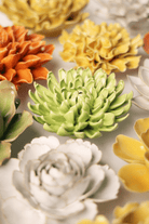 Yellow Green Pompom Mum ceramic wall flower styled on wall — English Garden — Chive Studio Toronto
