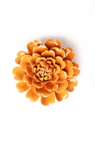 October Birth Flower - Marigold - Chive Ceramics Studio - Ceramic Flowers - Chive Ceramics Studio