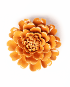 Orange Fiesta Marigold - Chive Ceramics Studio - Ceramic Flowers - Chive Ceramics Studio