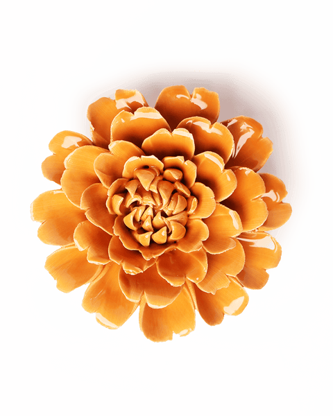 EG44_grande.png?v=1758882097