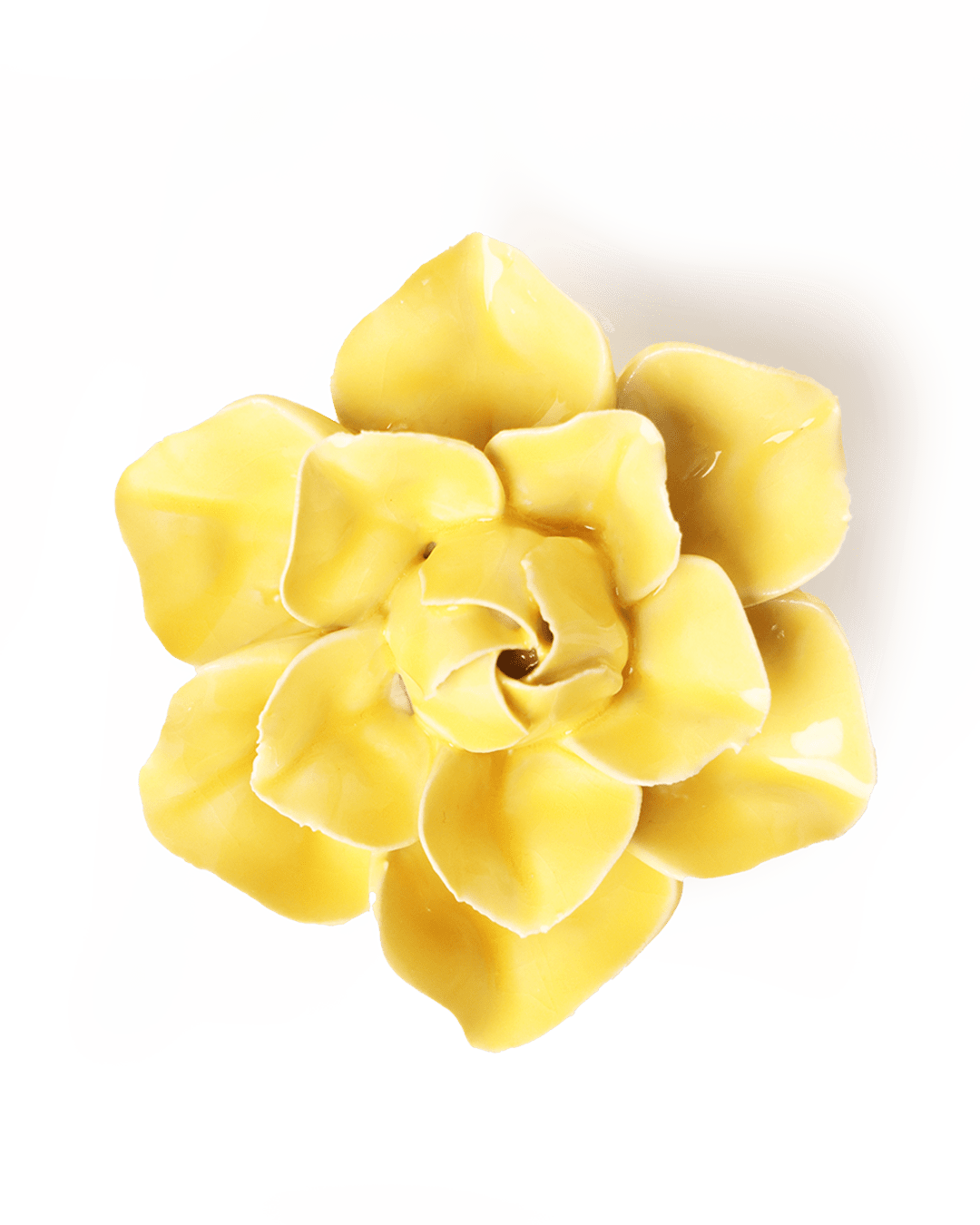 Buttercup Yellow Daffodil ceramic wall flower — English Garden collection — designed in Toronto by Chive Studio