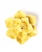 Buttercup Yellow Daffodil ceramic wall flower — English Garden collection — designed in Toronto by Chive Studio