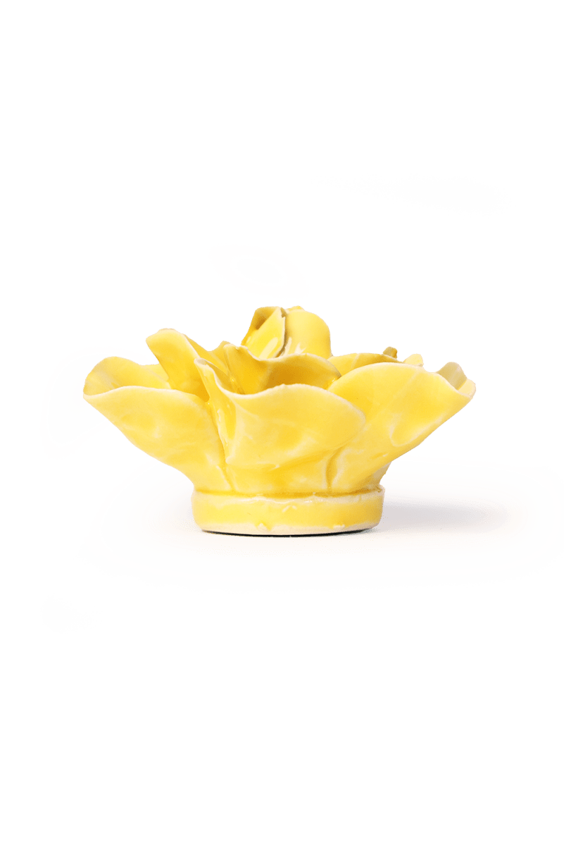 Buttercup Yellow Daffodil ceramic wall flower — English Garden — handmade by Chive Studio Toronto