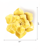 Buttercup Yellow Daffodil ceramic wall flower — English Garden — handmade by Chive Studio Toronto