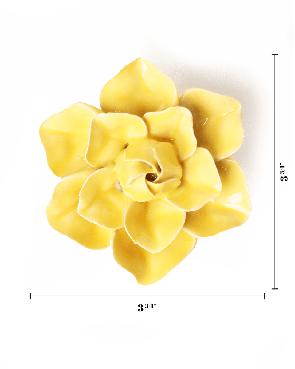 Buttercup Yellow Daffodil ceramic wall flower — English Garden — handmade by Chive Studio Toronto