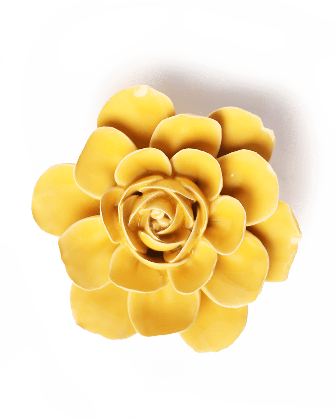 Burnt Yellow Begonia ceramic wall flower  — English Garden collection — designed in Toronto by Chive Studio