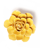 Burnt Yellow Begonia - Chive Ceramics Studio - Ceramic Flowers - Chive Ceramics Studio