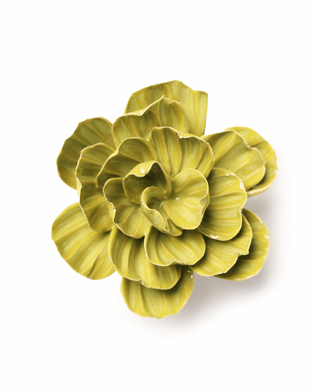 Chartreuse Primrose ceramic wall flower  — English Garden collection — designed in Toronto by Chive Studio