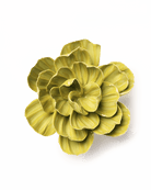 Chartreuse Primrose ceramic wall flower  — English Garden collection — designed in Toronto by Chive Studio