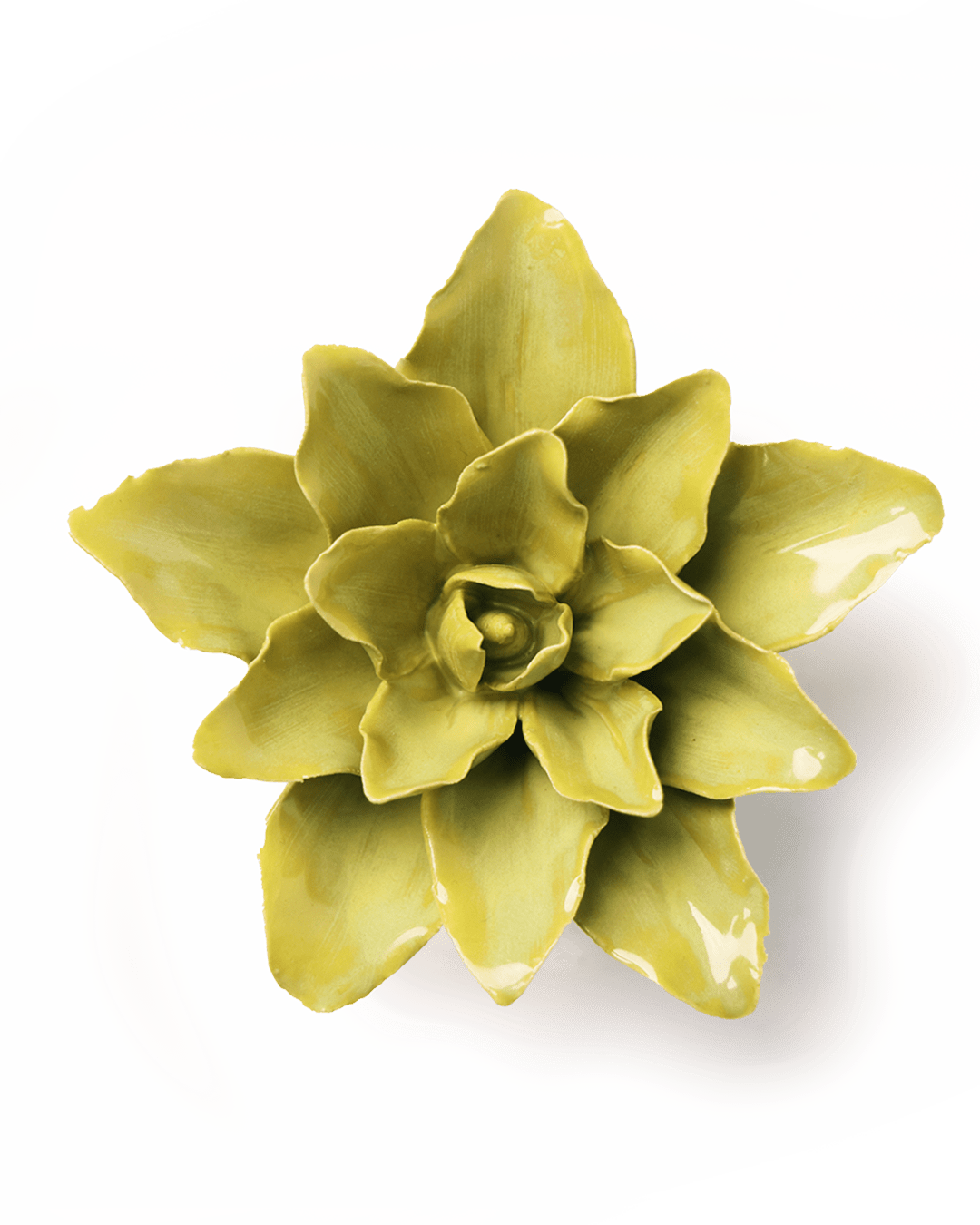 Chartreuse Lily ceramic wall flower  — English Garden collection — designed in Toronto by Chive Studio