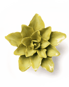chartreuse tiger lily ceramic wall flower — English Garden Collection — handmade by Chive Studio Toronto