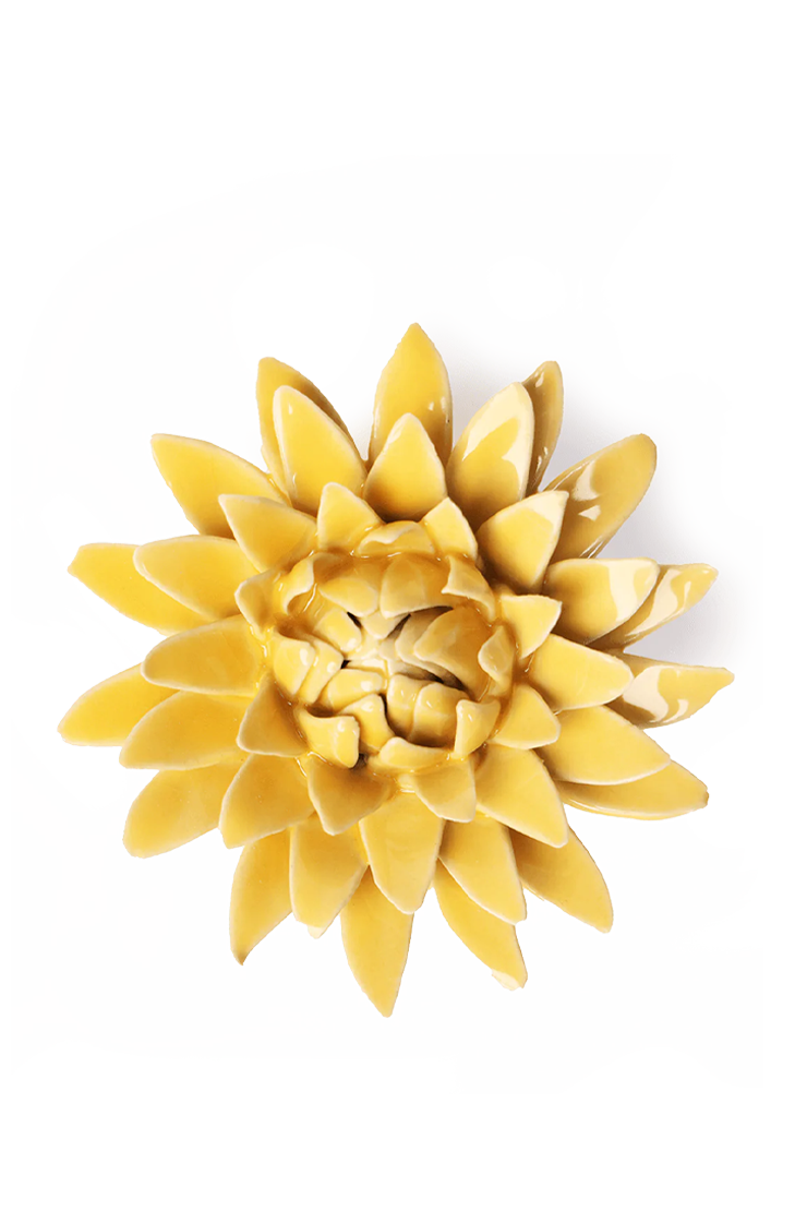 Burnt Yellow Strawflower ceramic wall flower — English Garden collection — designed in Toronto by Chive Studio