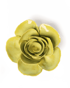 Chartreuse Elegance Ranunculus ceramic wall flower  — English Garden collection — designed in Toronto by Chive Studio