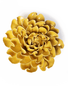 Buttercup Yellow Hawthorn ceramic wall flower  — English Garden collection — designed in Toronto by Chive Studio