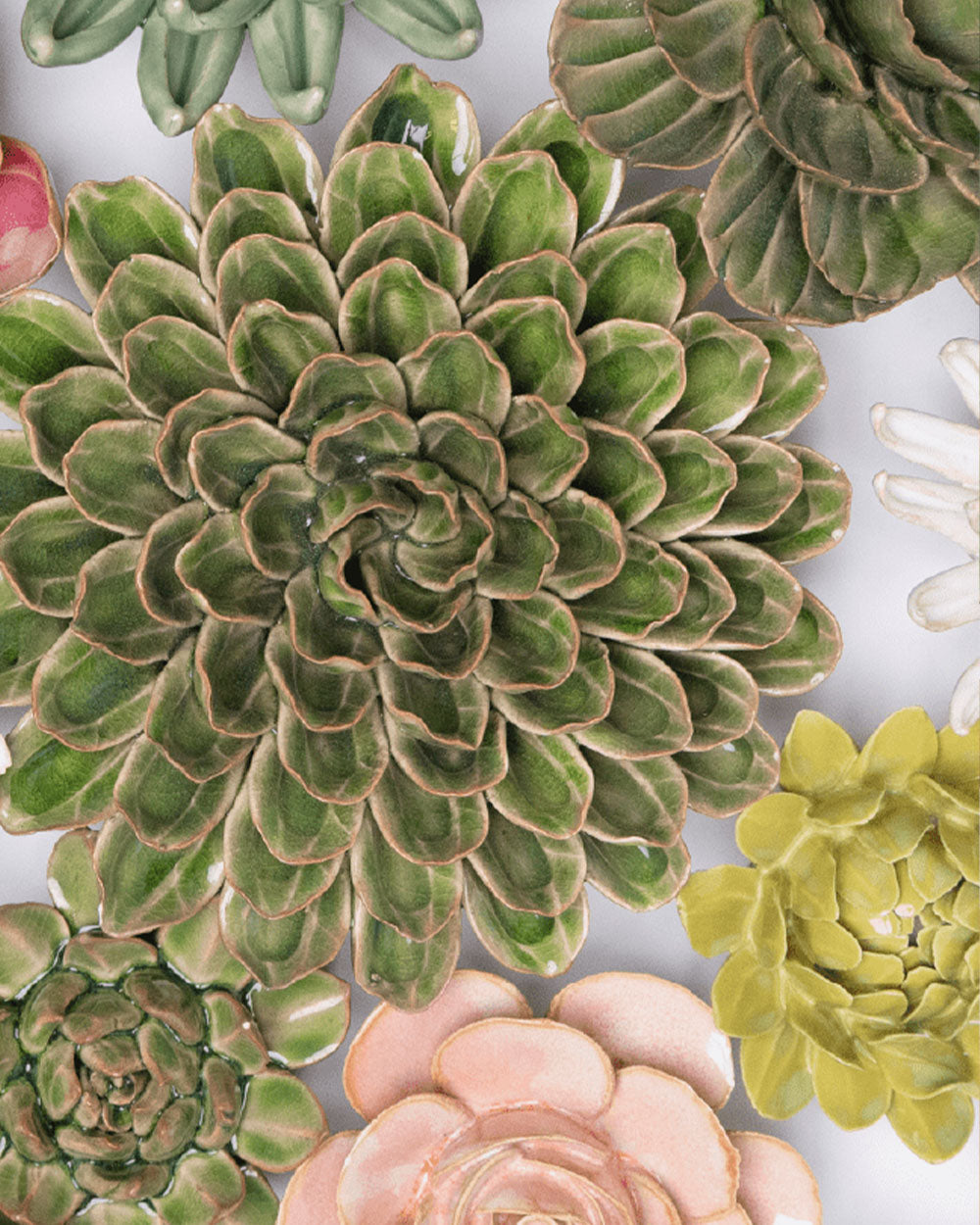 Gift for Boss │ Panache Green Spider Mum │ Chive Studio