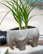 Elephant Ceramic Indoor Plant Pot For Succulents - Chive Ceramics Studio - Pots - Chive US