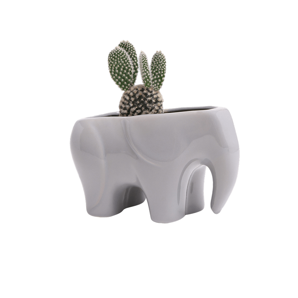 Elephant Ceramic Indoor Plant Pot For Succulents - Chive Ceramics Studio - Pots - Chive US