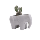 Elephant Ceramic Indoor Plant Pot For Succulents - Chive Ceramics Studio - Pots - Chive US