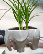 Elephant Ceramic Indoor Plant Pot For Succulents - Chive Ceramics Studio - Pots - Chive US