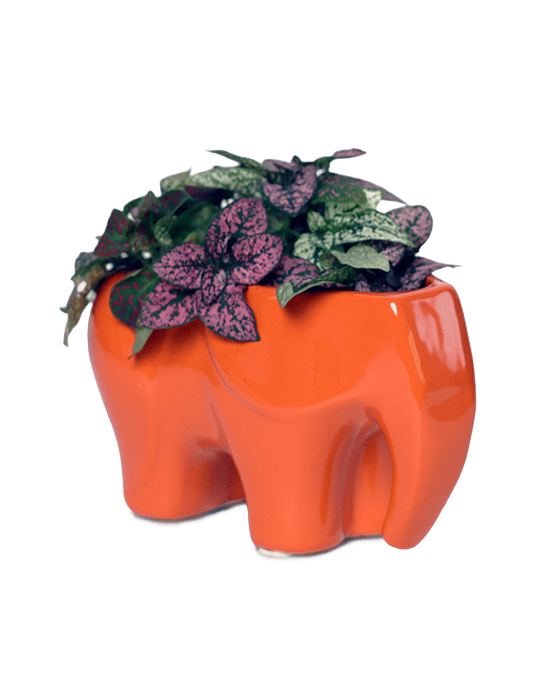 Elephant Ceramic Indoor Plant Pot For Succulents - Chive Ceramics Studio - Pots - Chive Ceramics Studio
