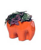 Elephant Ceramic Indoor Plant Pot For Succulents - Chive Ceramics Studio - Pots - Chive Ceramics Studio