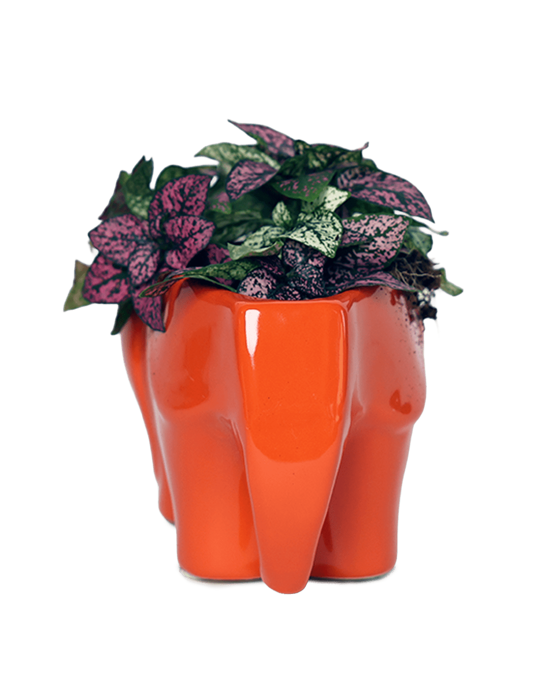 Elephant Ceramic Indoor Plant Pot For Succulents - Chive Ceramics Studio - Pots - Chive Ceramics Studio