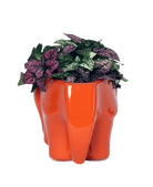 Elephant Ceramic Indoor Plant Pot For Succulents - Chive Ceramics Studio - Pots - Chive Ceramics Studio