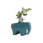 Elephant Ceramic Indoor Plant Pot For Succulents - Chive Ceramics Studio - Pots - Chive US