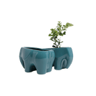 Elephant Ceramic Indoor Plant Pot For Succulents - Chive Ceramics Studio - Pots - Chive US