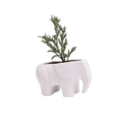 Elephant Ceramic Indoor Plant Pot For Succulents - Chive Ceramics Studio - Pots - Chive US