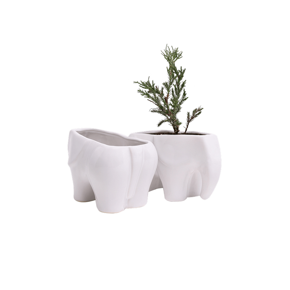 Elephant Ceramic Indoor Plant Pot For Succulents - Chive Ceramics Studio - Pots - Chive US
