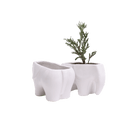 Elephant Ceramic Indoor Plant Pot For Succulents - Chive Ceramics Studio - Pots - Chive US