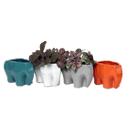Elephant Ceramic Indoor Plant Pot For Succulents - Chive Ceramics Studio - Pots - Chive Ceramics Studio