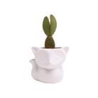 Fox Ceramic Indoor Plant Pot For Succulents - Chive Ceramics Studio - Pots - Chive Ceramics Studio