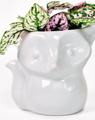 Fox Ceramic Indoor Plant Pot For Succulents - Chive Ceramics Studio - Pots - Chive Ceramics Studio