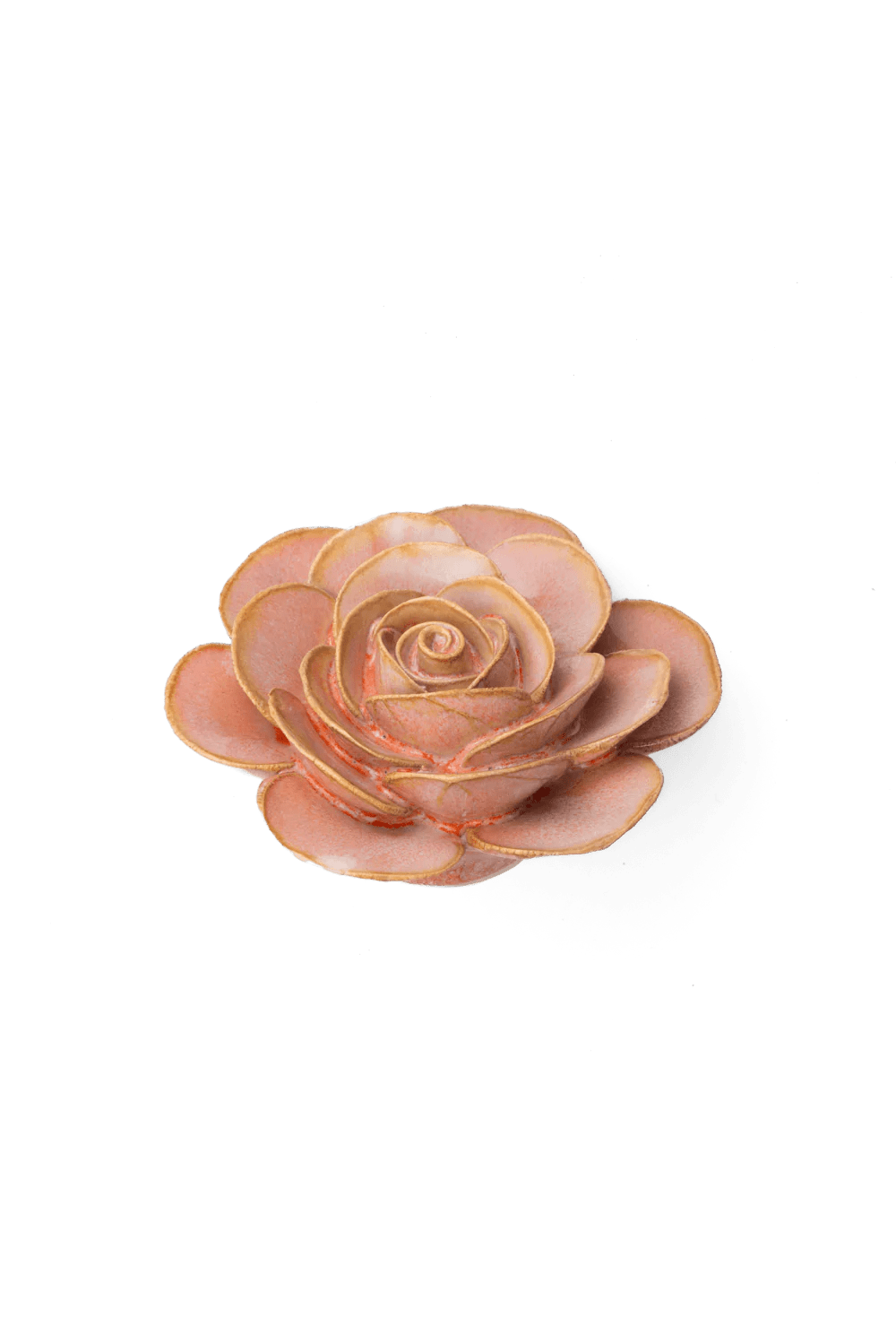 Peach Pink Ranunculus ceramic wall flower — France collection — designed in Toronto by Chive Studio