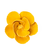 FR06 Burnt Yellow Poppy - Chive Ceramics Studio - Ceramic Flowers - Chive Ceramics Studio
