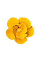 Burnt Yellow Poppy - Chive Ceramics Studio - Ceramic Flowers - Chive Ceramics Studio