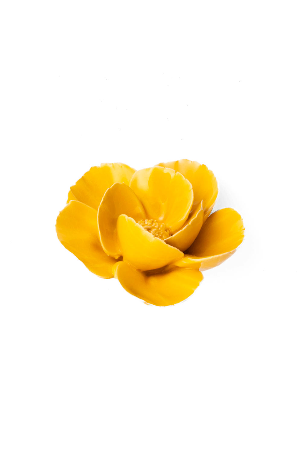 Burnt Yellow Poppy ceramic wall flower  — France collection — designed in Toronto by Chive Studio