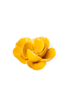 Burnt Yellow Poppy - Chive Ceramics Studio - Ceramic Flowers - Chive Ceramics Studio